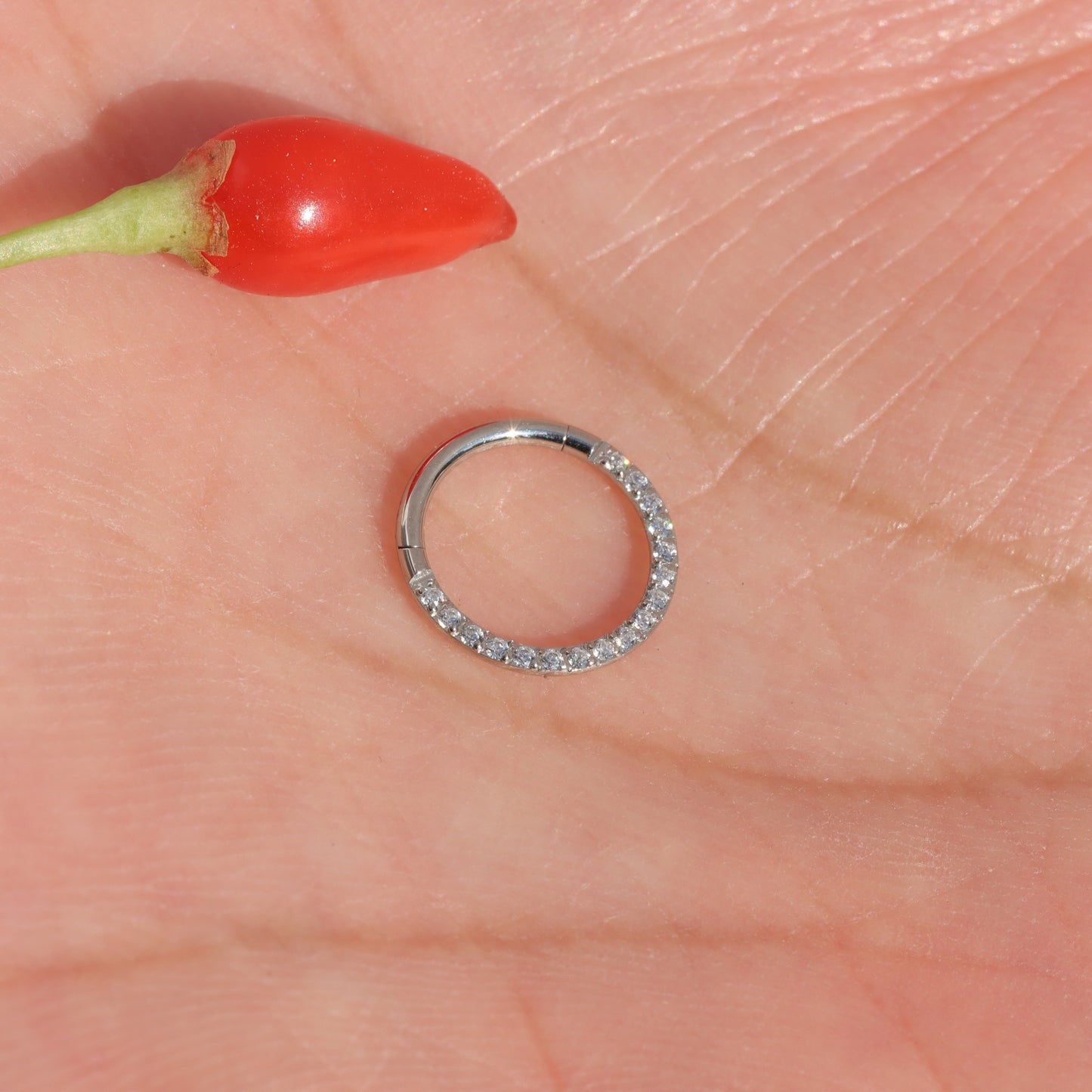 18G 316L Steel Crystal Nose Ring Clicker/ Nose Ring Hoop/ Hinged Nose Clicker/ Nostril Hoop Steel/ Silver Nose Hoop/Nose Piercing 1.0*8/10mm