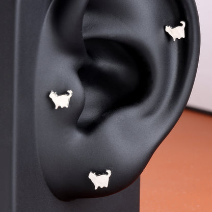 F-136 Titanium Cute Cat Stud Earring, 1.2*6/8/10mm, Internally Threaded Stud, Flat Back Earring, Cartilage Stud, Tragus Stud, Gift Packaged