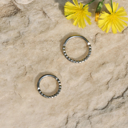 16G ASTM F136 Titanium Septum Ring Silver/ Septum Clicker/ Septum Piercing/ Titanium Septum Ring/ Hinged Septum Hoop/ Daith Hoop 1.2*8/10mm Miss Vivi Jewelry