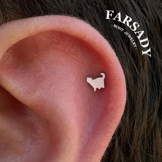 16G 18G Titanium Cute Cat Stud Earring, 1.2*6/8/10mm, Internally Threaded Stud, Flat Back Earring, Cartilage Stud, Tragus Stud, Gift Packaged