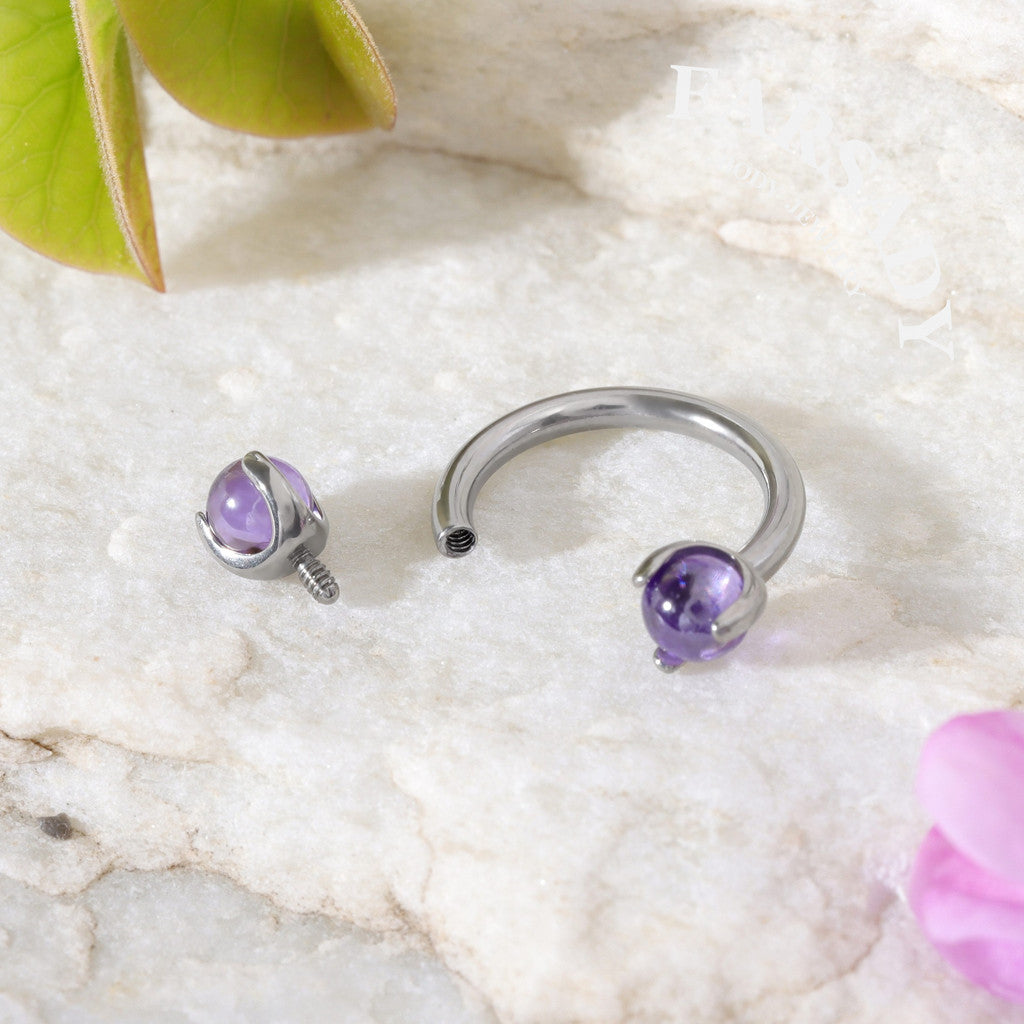 Violet Arc - F136 Titanium Internally Threaded Curved Barbell Ring / Fits 16G Septum Ring Helix Conch Daith Earring
