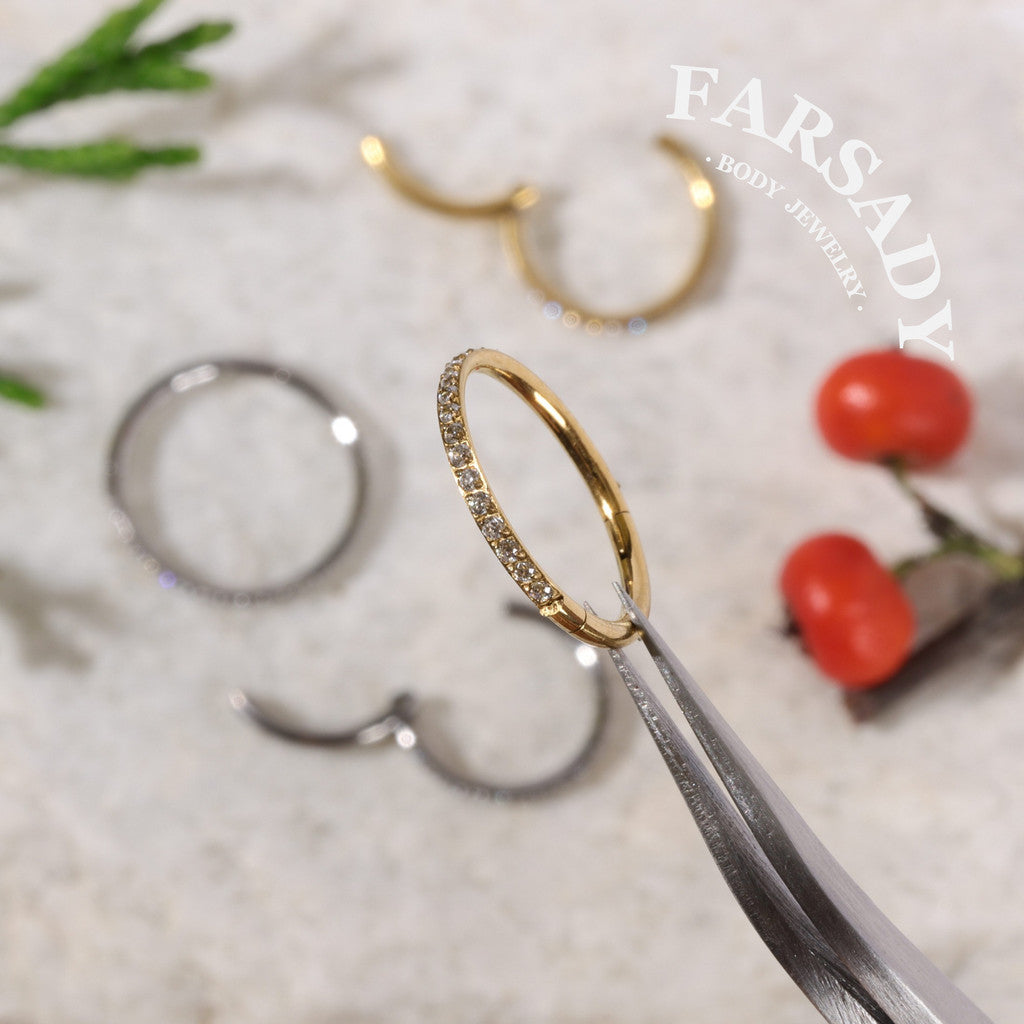 3pcs 18G/20G Titanium Nose Rings Hoops - Double Hoop Nose Ring  Hinged CZ Piercing Jewelry Septum Clicker Rings Cartilage Earring Helix Rook Tragus Daith 6mm/8mm/10mm