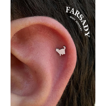 Shadow Kitty - F136 Titanium Internally Threaded Stud / Fits Cartilage Helix Tragus Lobe Nostril Piercing