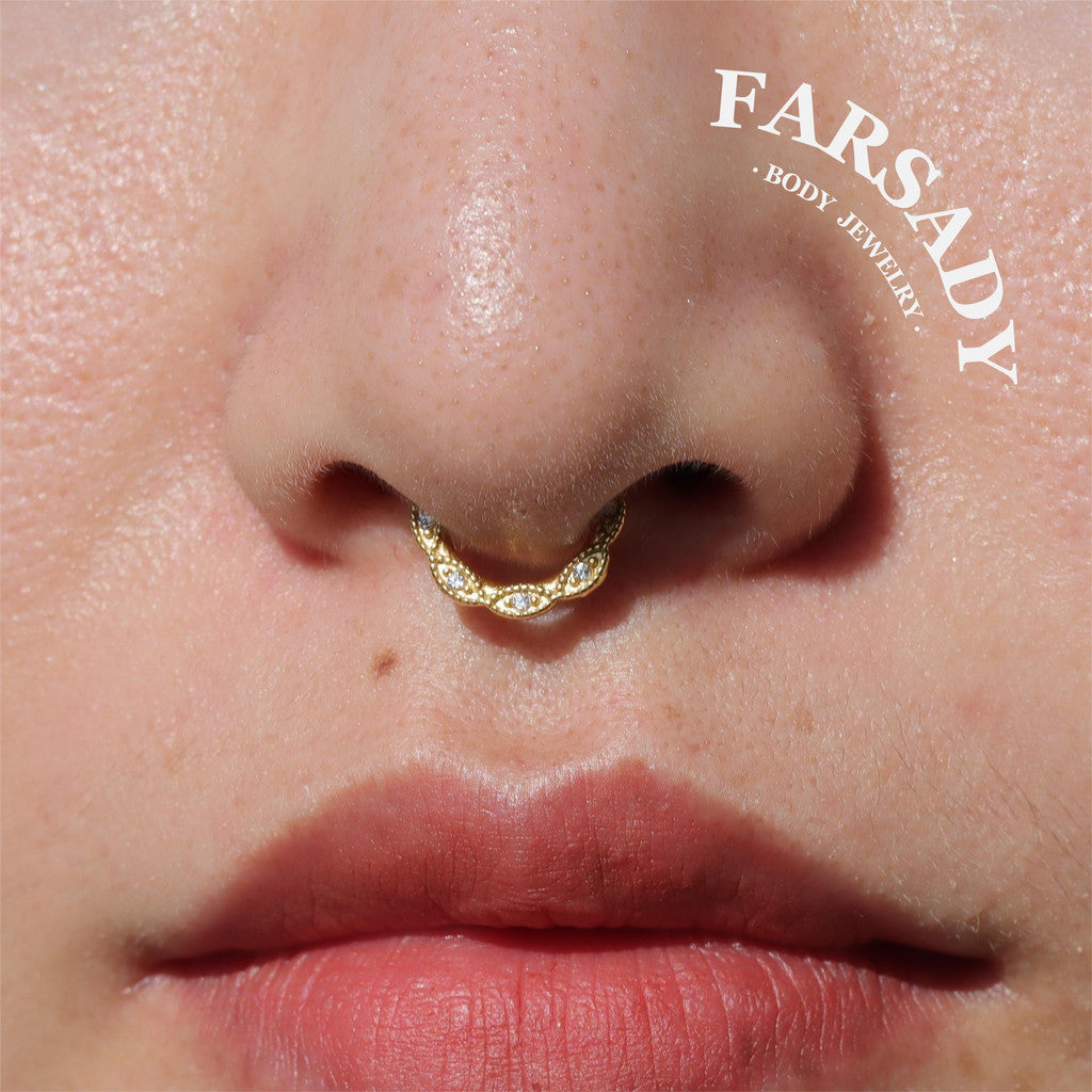 16G Flower Septum Ring Hinged CZ Nose Piercing Hoop Daith Helix Earring Daily Wear Body Jewelry Gift Packaged Perfect Gift for Her